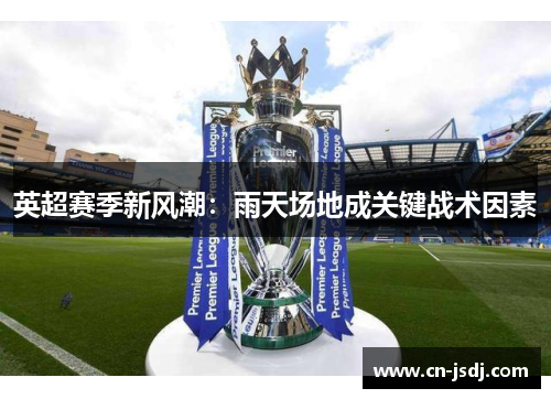 英超赛季新风潮：雨天场地成关键战术因素